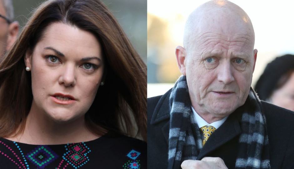 leyonhjelm hanson young appeal