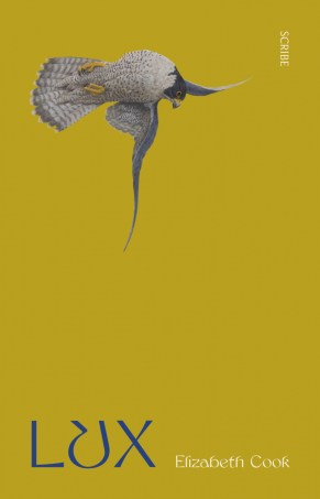 Lux book cover