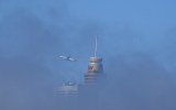 sydney fog