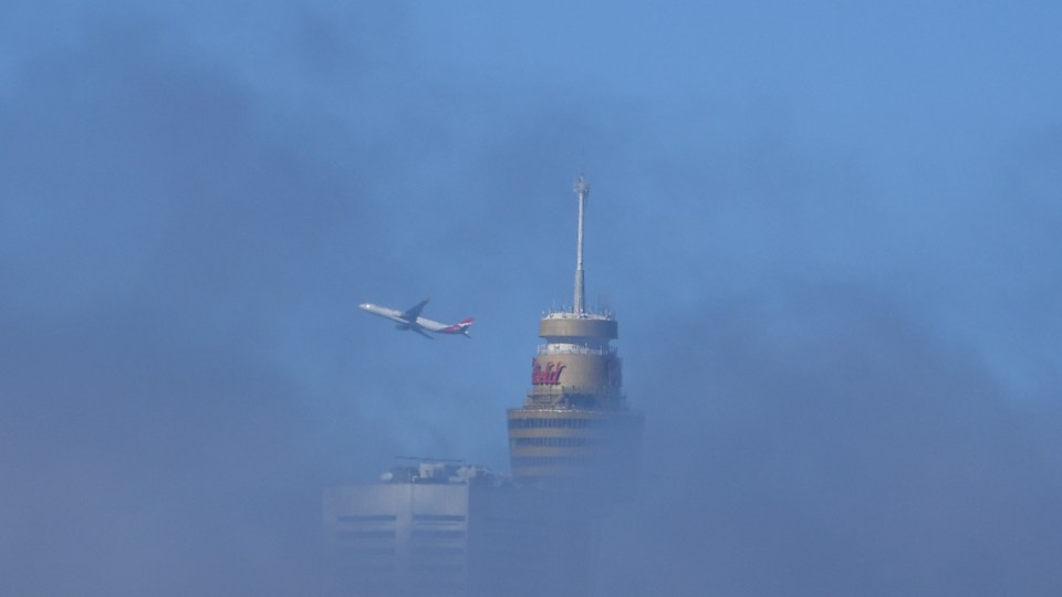 sydney fog