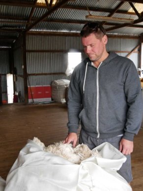 james-skeer-crossbred-wool