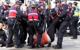 vegan protest chaos