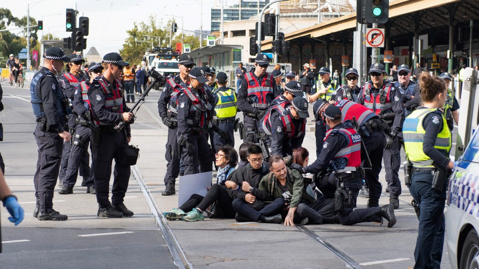 i worked in an abattoir