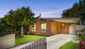 weekend auction wrap April 20