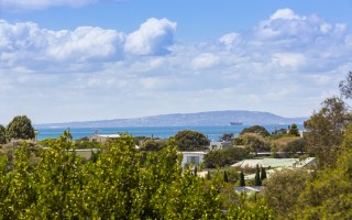 weekend auction wrap April 20