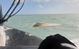 torres strait crew capsize