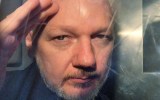 julian assange