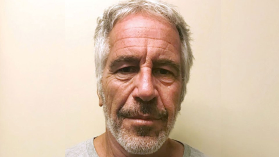 jeffrey-epstein-monitoring