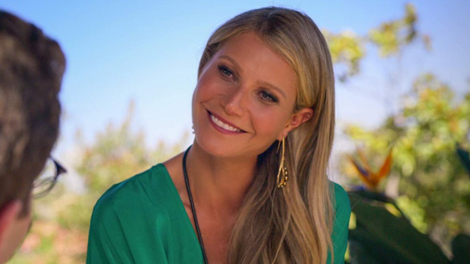Gwyneth Paltrow The Politiician