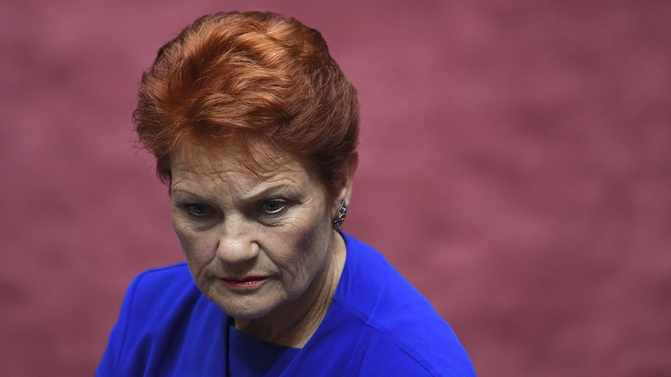 pauline hanson dumped today