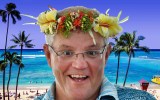 scott morrison hawaii business class