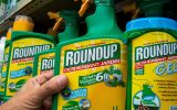 Roundup