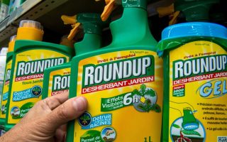 Roundup