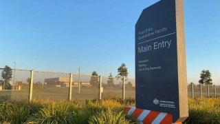 mickleham quarantine