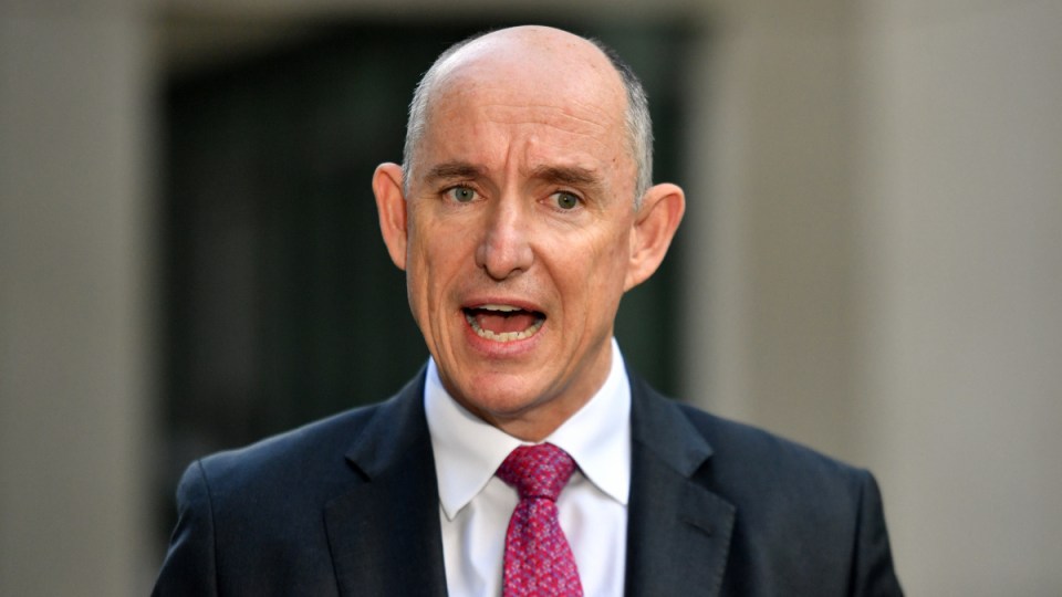 stuart robert Robodebt