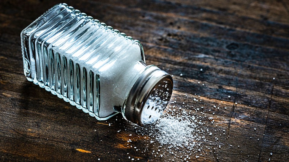 Salt study