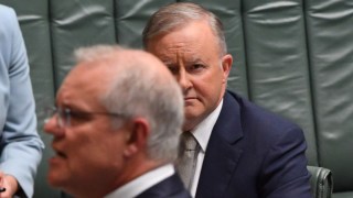 Morrison albanese