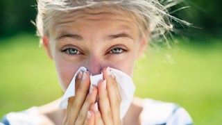 hay fever