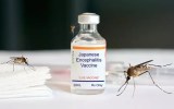 vaccine