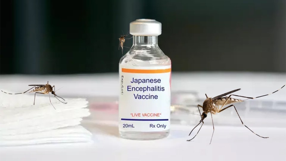 vaccine