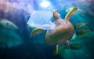 Ocean plastic