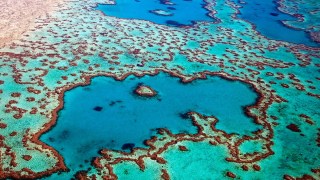 Great Barrier Reef