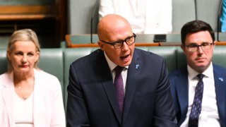 Dutton