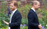 Princes william and harry