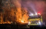 bushfires