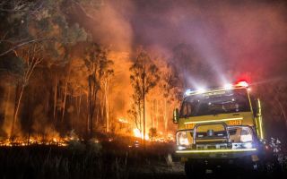bushfires