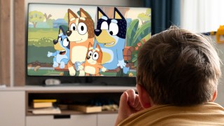 tv bluey