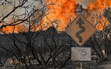 bushfire
