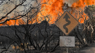 bushfire