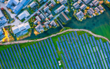 net-zero jobs