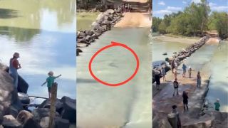 cahills crossing crocodiles