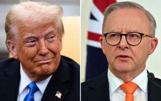 albanese trump