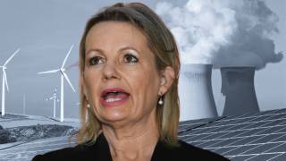 Sussan Ley