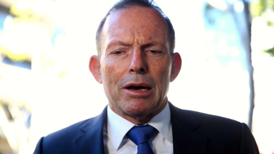 tony abbott covid