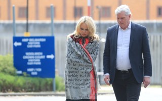 julian assange pamela anderson