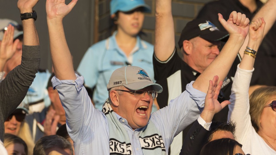 cronulla sharks morrison