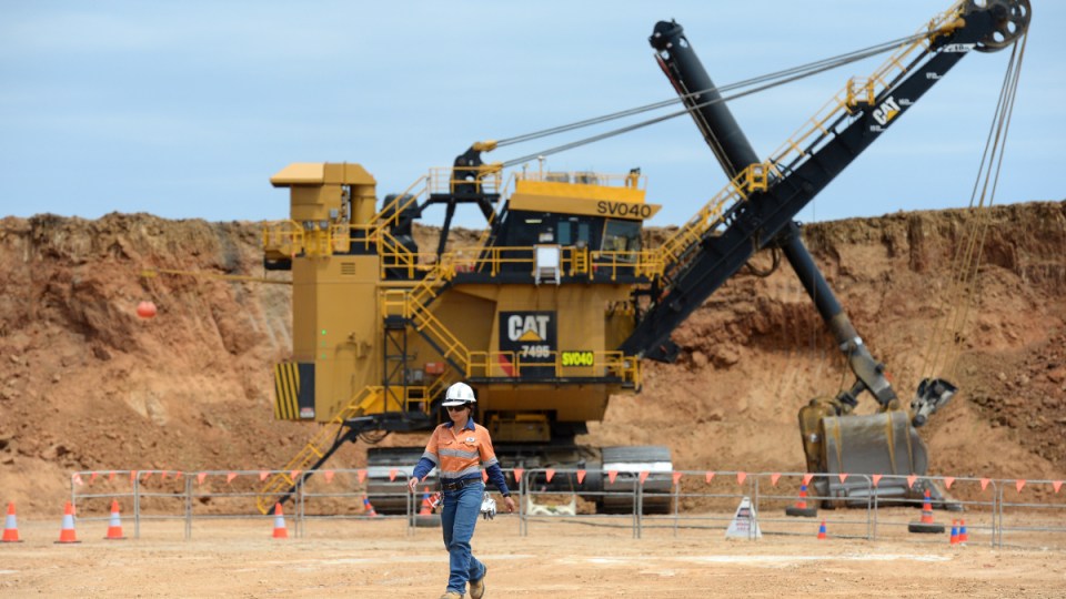 bhp vaccine
