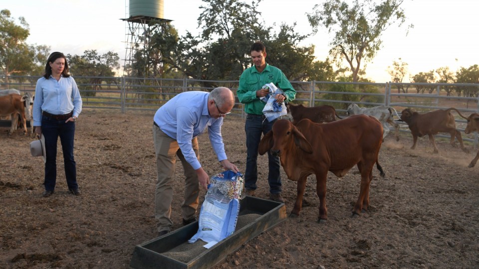 scott-morrison-cloncurry