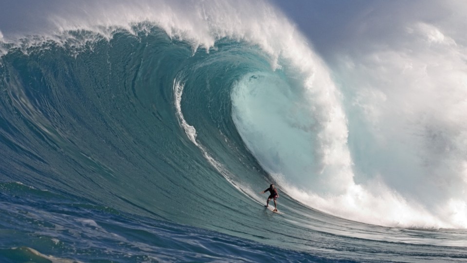 determining your risk profile
