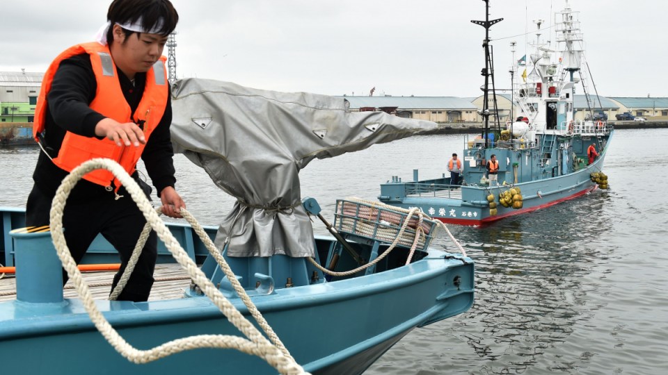 japan whale hunting