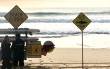 manly beach shark attack