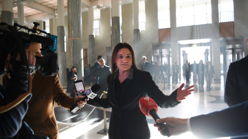 jacqui lambie tax cuts