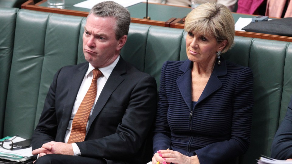 christopher pyne julie bishop jobs