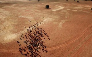 spring 2019 dry drought