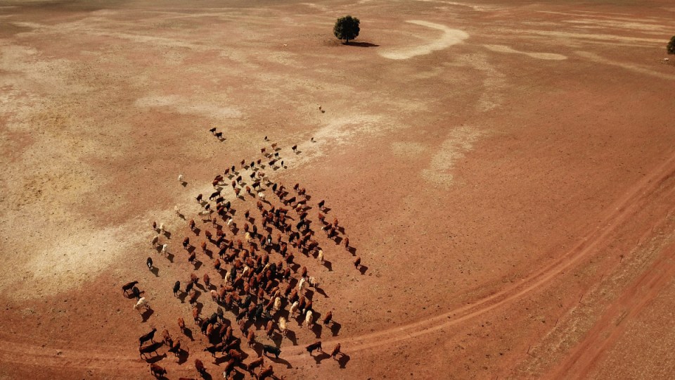 spring 2019 dry drought
