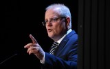 scott morrison newstart